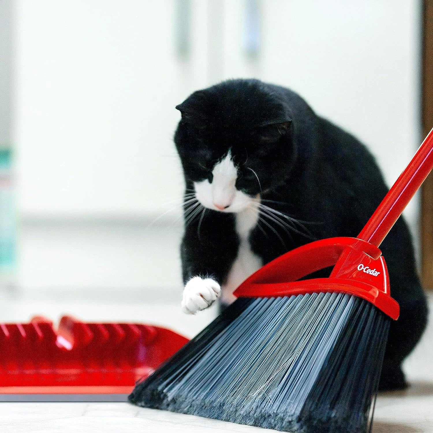 Pet Pro Broom with Step-On Dustpan | Remove 99% with One Sweep | Dustpan Remo...