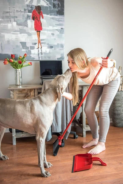 Pet Pro Broom with Step-On Dustpan | Remove 99% with One Sweep | Dustpan Remo...
